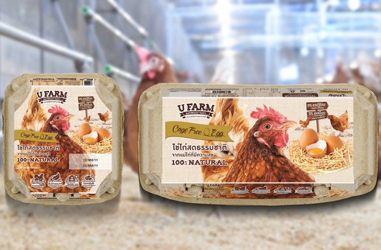 ซีพีเอฟ เพิ่มทางเลือกคนไทยได้บริโภคไข่ไก่สด CP ช่วยลดโลกร้อน
