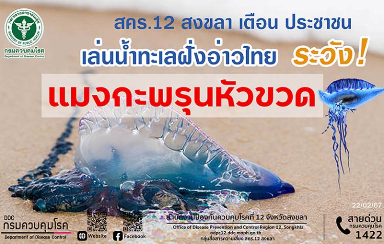 สคร.12 สงขลา เตือนประชาชนลงเล่นน้ำทะเลฝั่งอ่าวไทย ระวังแมงกะพรุนหัวขวด