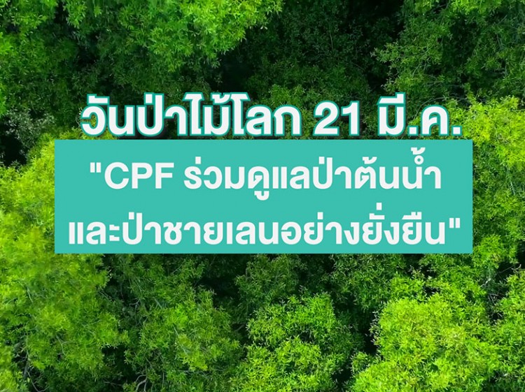 21 มีนาคม “วันป่าไม้โลก” CPF ร่วมฟื้นฟูป่าต้นน้ำ-ป่าชายเลน ปกป้องความหลากหลายทางชีวภาพ