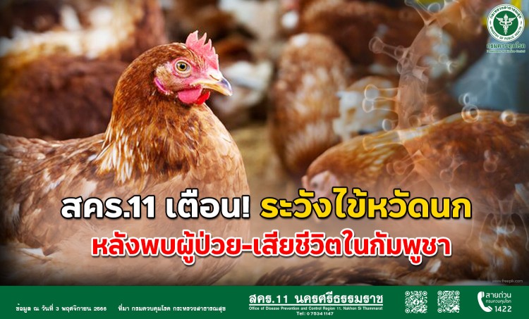 เตือน! ระวัง”ไข้หวัดนก”ระบาดในไทย พบผู้ป่วย-เสียชีวิตในกัมพูชา